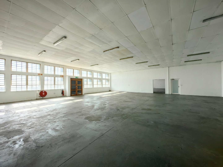 To Let commercial Property for Rent in University Estate Western Cape